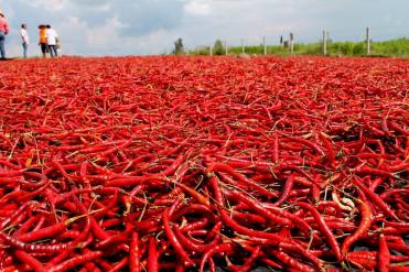 15064067_543553389170610_2051569855_o