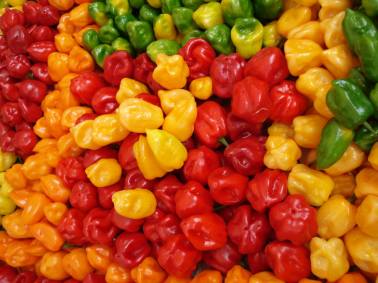 15101835_543553402503942_798741609_o