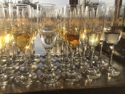 15224697_547121878813761_360100943_o