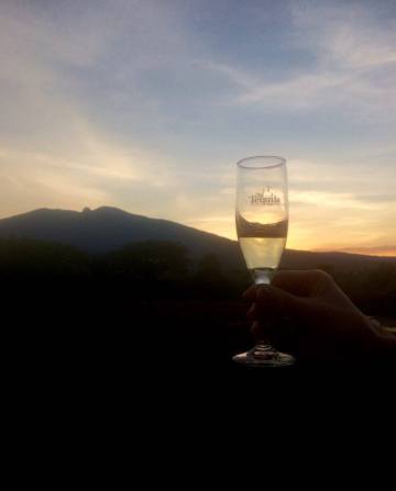 15239296_547122572147025_1611151373_n