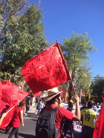 whatsapp-image-2017-01-07-at-12-05-47-pm