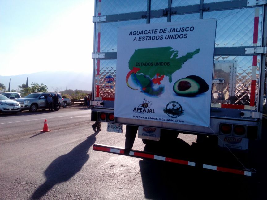 whatsapp-image-2017-01-21-at-7-47-34-pm