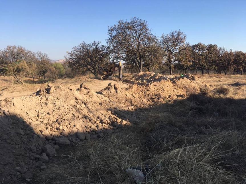 17357281_10154859539885358_1362796476_o