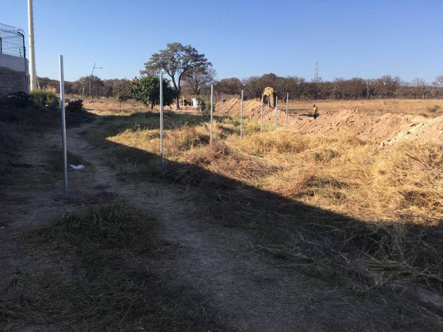 17357504_10154859539435358_944196643_o