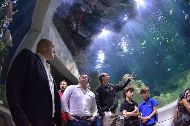 32671186444_aea2ea013b_z