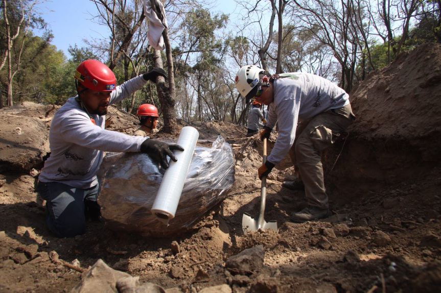 WhatsApp Image 2017-03-10 at 2.07.39 PM