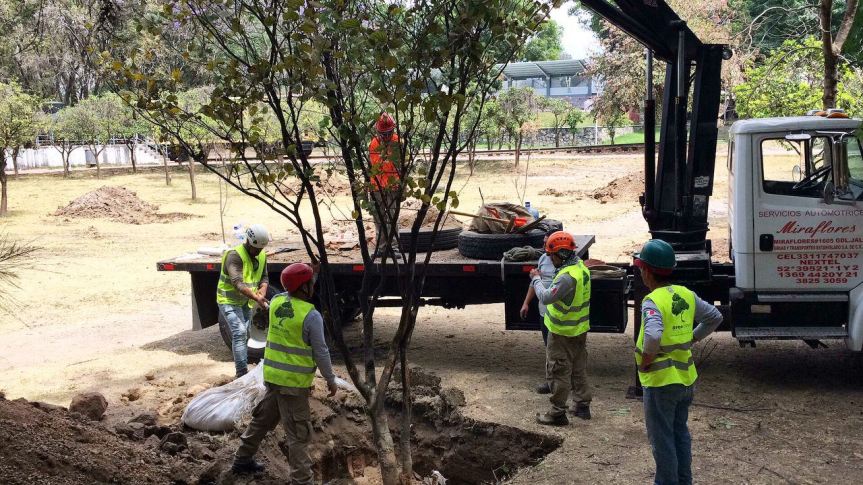 WhatsApp Image 2017-03-10 at 2.15.51 PM