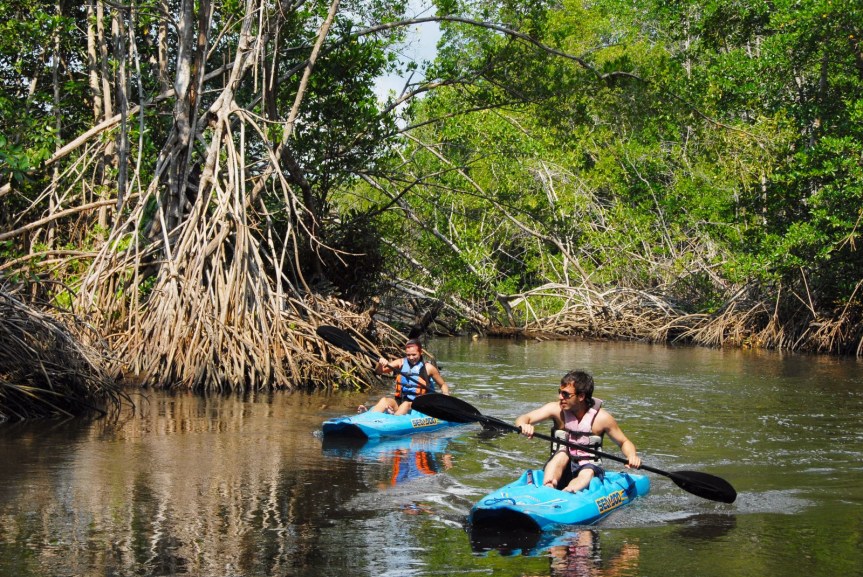 WhatsApp Image 2017-03-11 at 9.52.25 AM