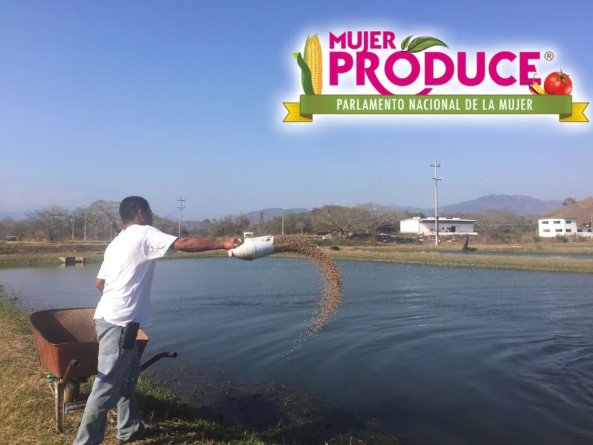 WhatsApp Image 2017-03-24 at 6.00.07 PM