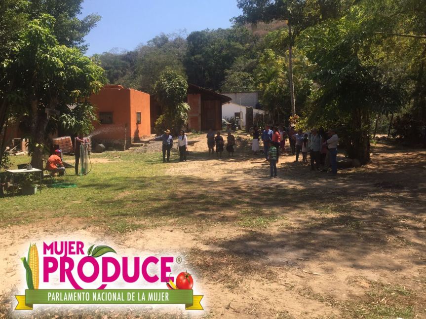 WhatsApp Image 2017-03-24 at 6.00.37 PM