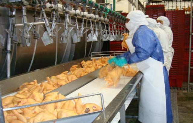 WhatsApp Image 2017-03-27 at 12.56.41 PM