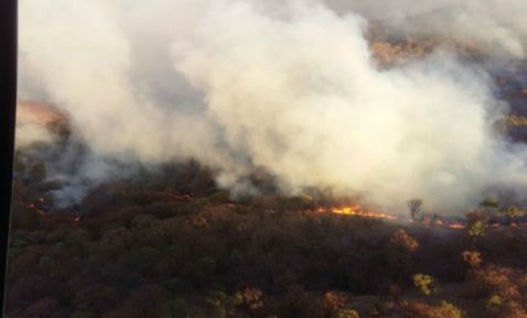 Se consumieron 600 hectáreas en el incendio en La&nbsp;Primavera