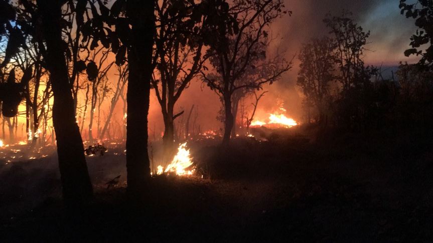 Incendio enla primavera, fraccionamiento el&nbsp;Palomar