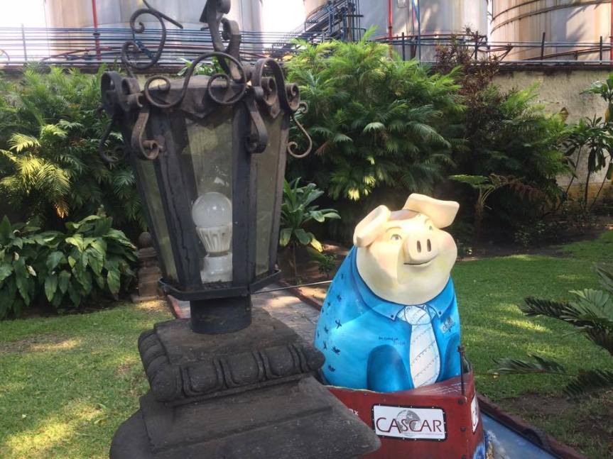 18361096_621577528034862_899960032_n