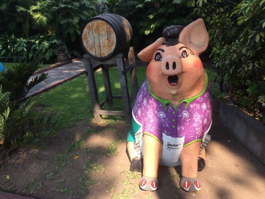 18386908_621577121368236_2115252577_n