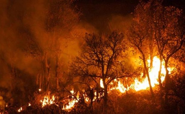 #EmergenciaAtmosférica en ZMG por incendio en La&nbsp;Primavera