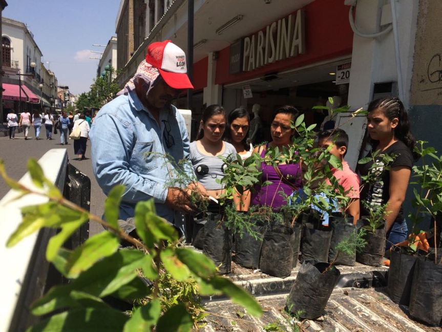 WhatsApp Image 2017-05-10 at 13.46.24 (2)