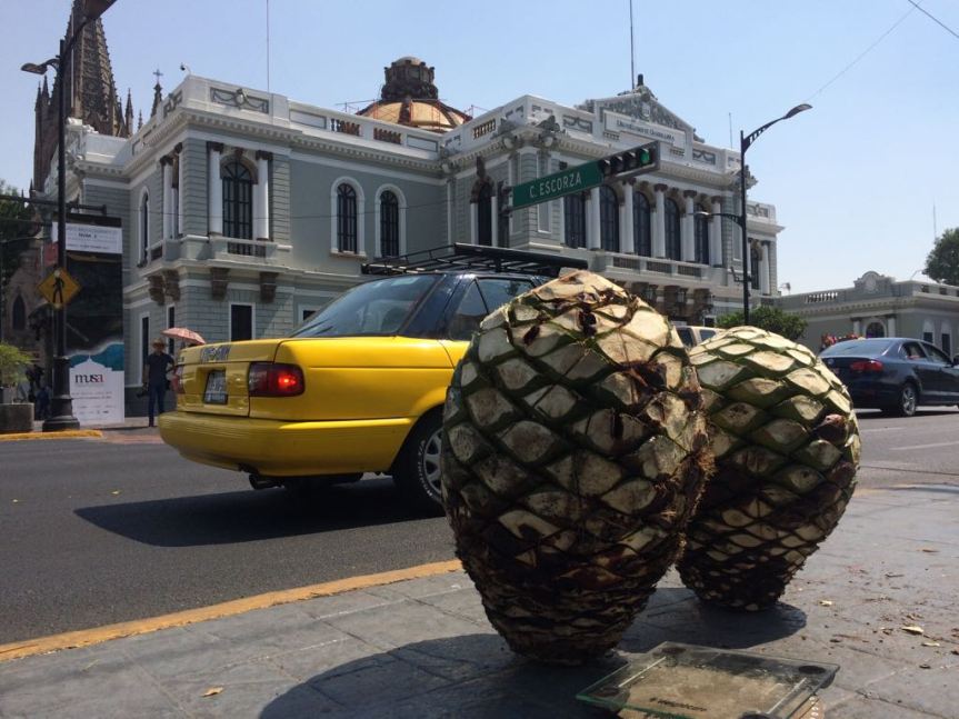 WhatsApp Image 2017-05-22 at 4.10.31 PM