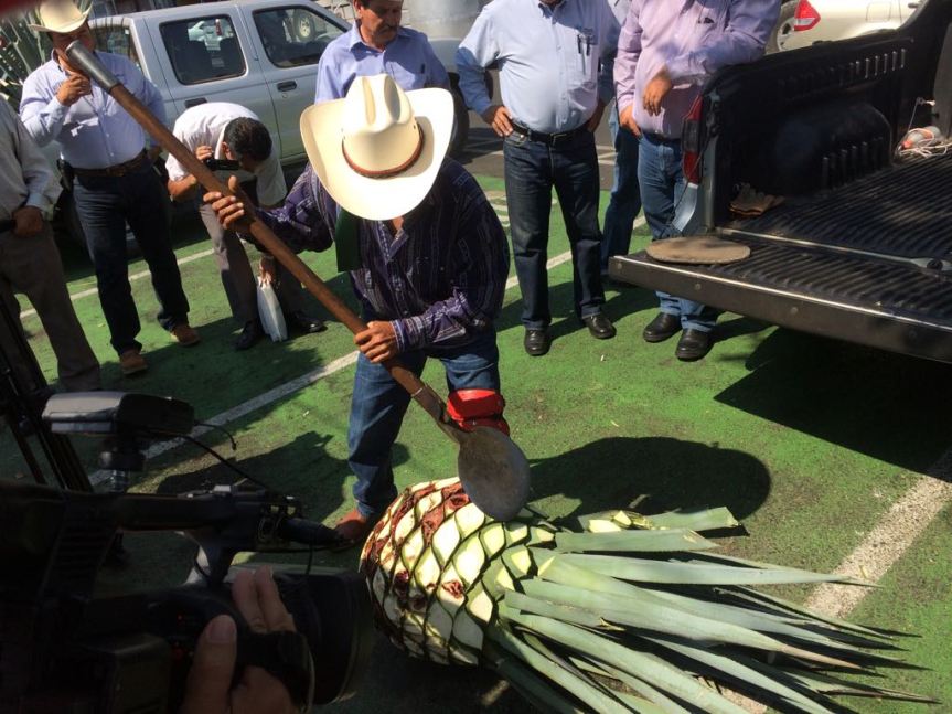 WhatsApp Image 2017-05-22 at 4.10.33 PM