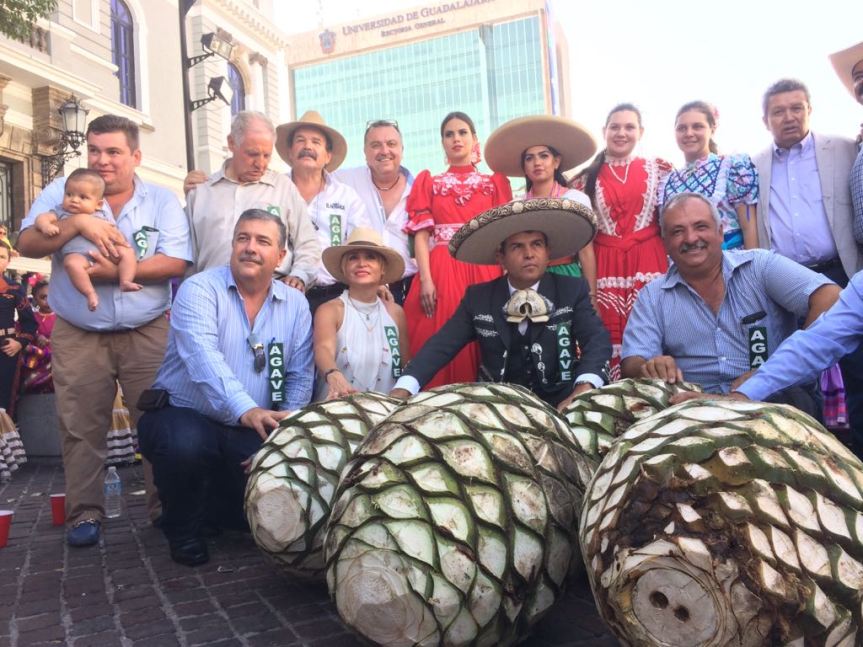 WhatsApp Image 2017-05-22 at 4.10.35 PM (1)