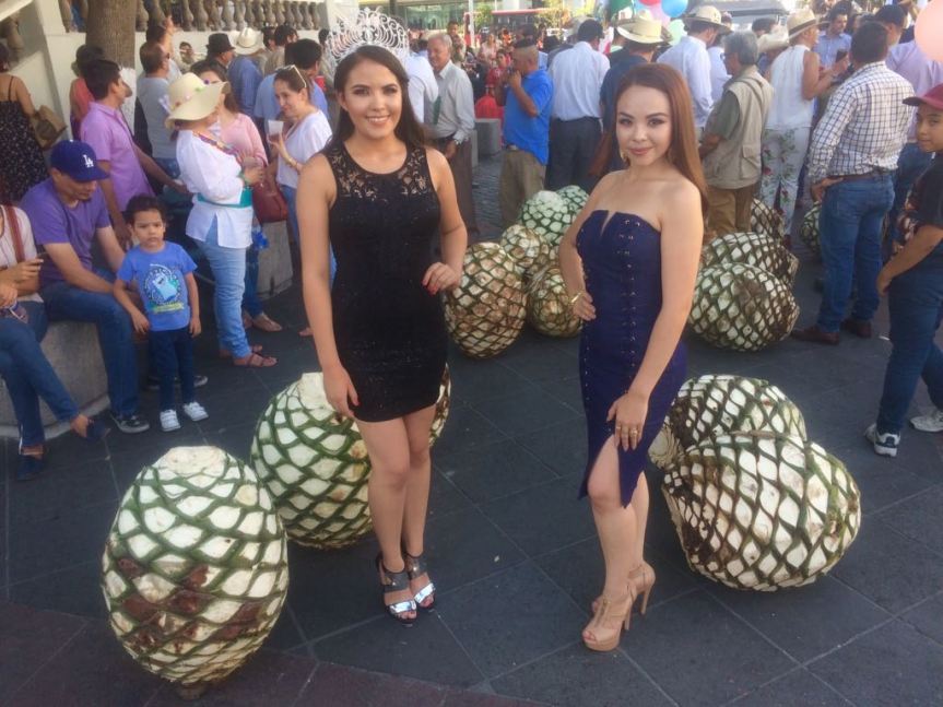 WhatsApp Image 2017-05-22 at 4.10.35 PM