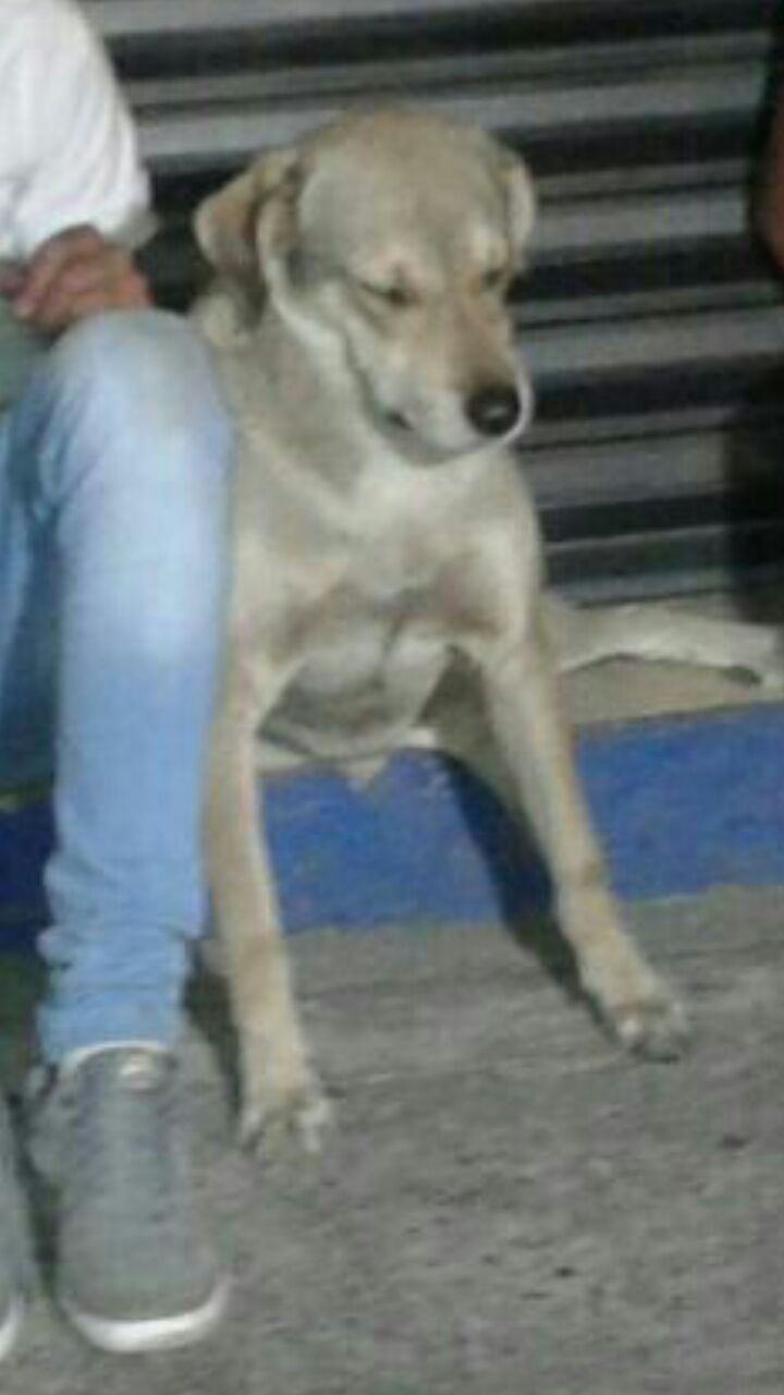 WhatsApp Image 2017-05-24 at 17.41.54