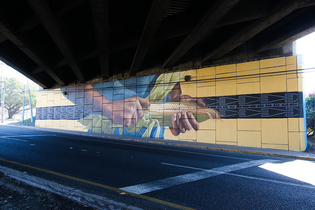 34648624240_1f562df4f6_z