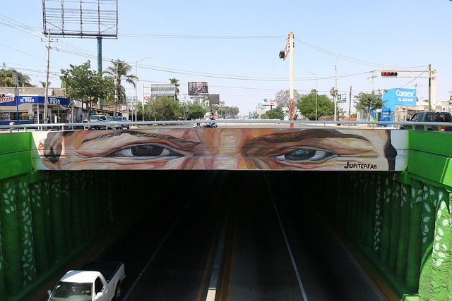 34648672030_50853df488_z