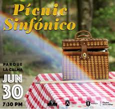Picnic