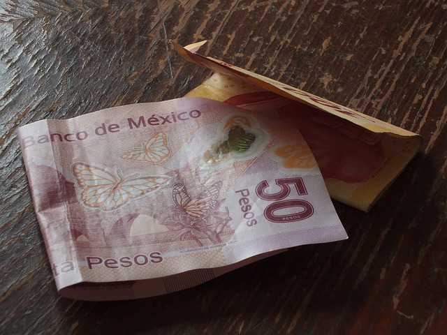 La vida en&nbsp;pesos
