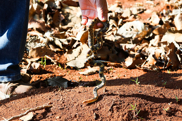 36515684651_b2b592d795_z