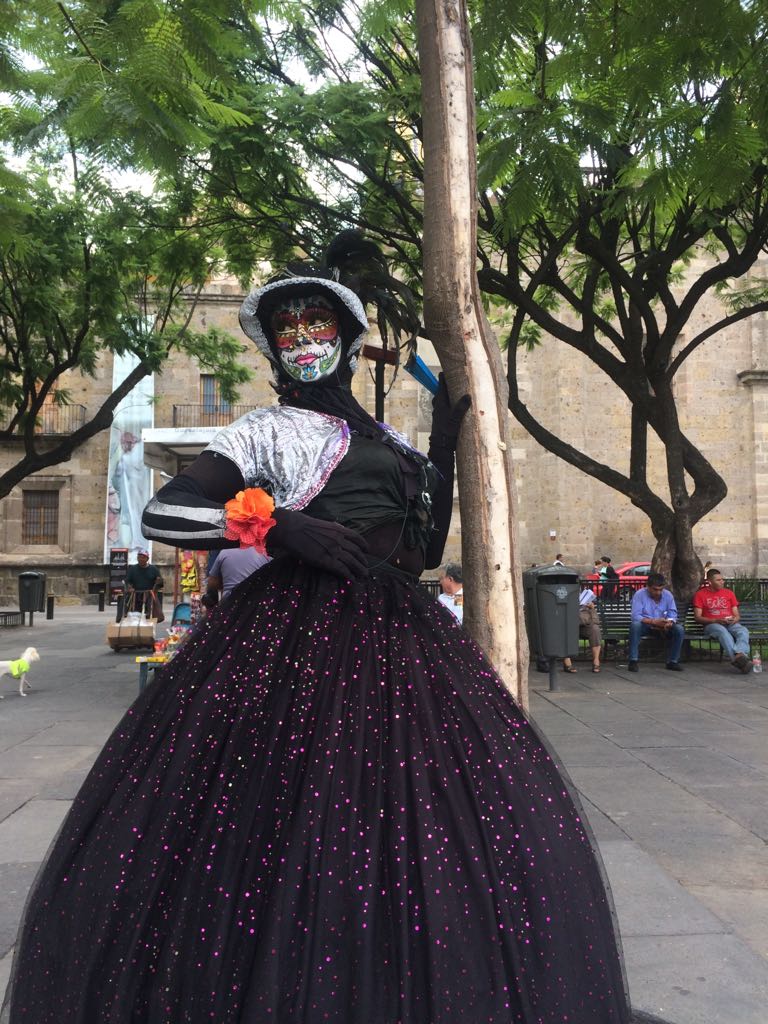 WhatsApp Image 2017-08-07 at 2.03.49 PM