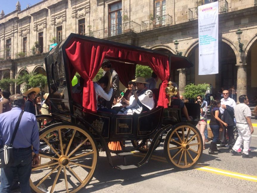 WhatsApp Image 2017-08-09 at 1.22.28 PM