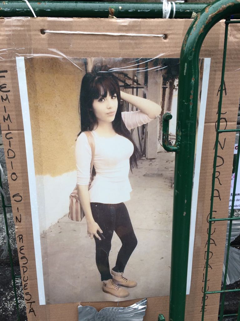 WhatsApp Image 2017-08-30 at 9.56.44 PM (2)