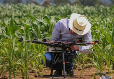 Los drones protagonizan trabajos de investigación agrícola y&nbsp;forestal