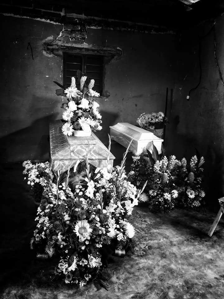 Tomado de la&nbsp;red