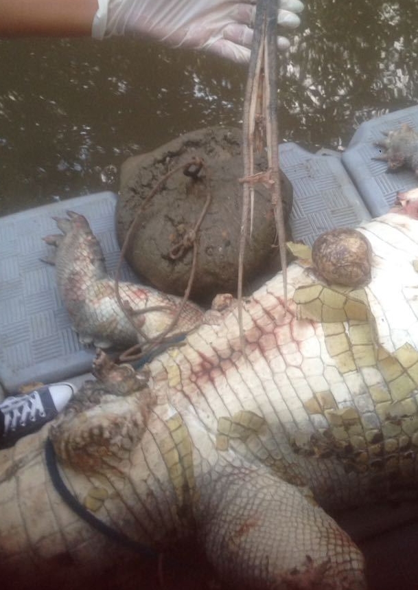 WhatsApp Image 2017-09-14 at 5.37.12 PM