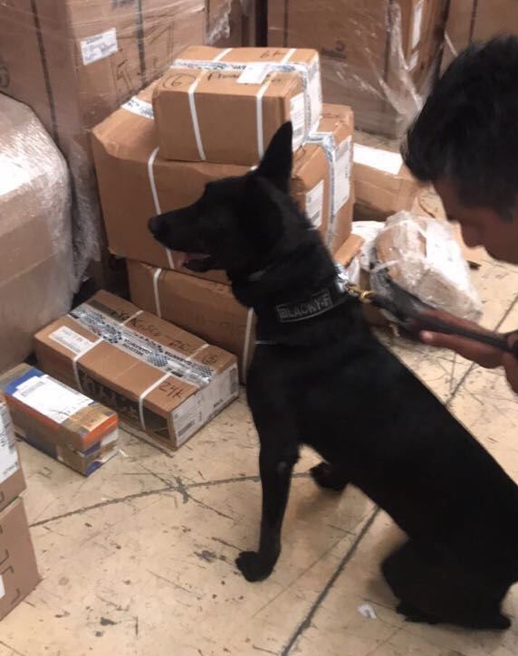 WhatsApp Image 2017-09-14 at 7.29.31 PM