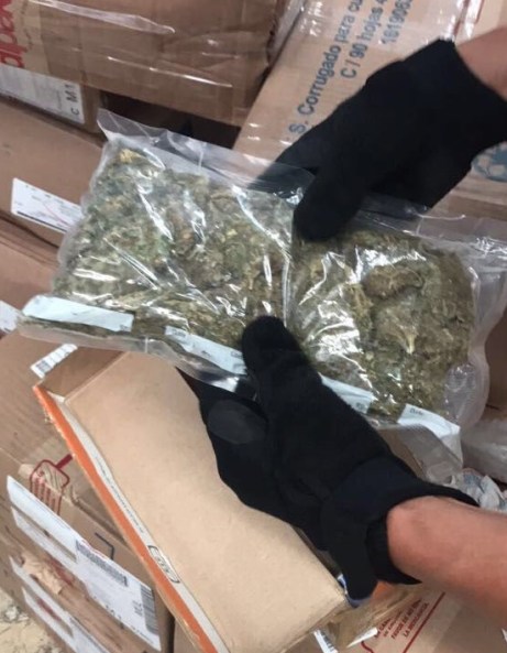 WhatsApp Image 2017-09-14 at 7.29.34 PM (1)