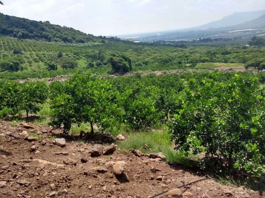 WhatsApp Image 2017-09-22 at 7.12.41 PM (1)