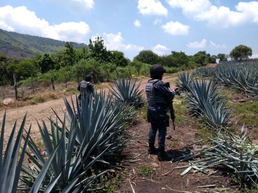 WhatsApp Image 2017-09-27 at 12.03.24 AM