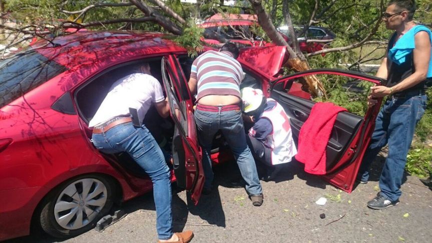 WhatsApp Image 2017-10-16 at 10.06.35 AM