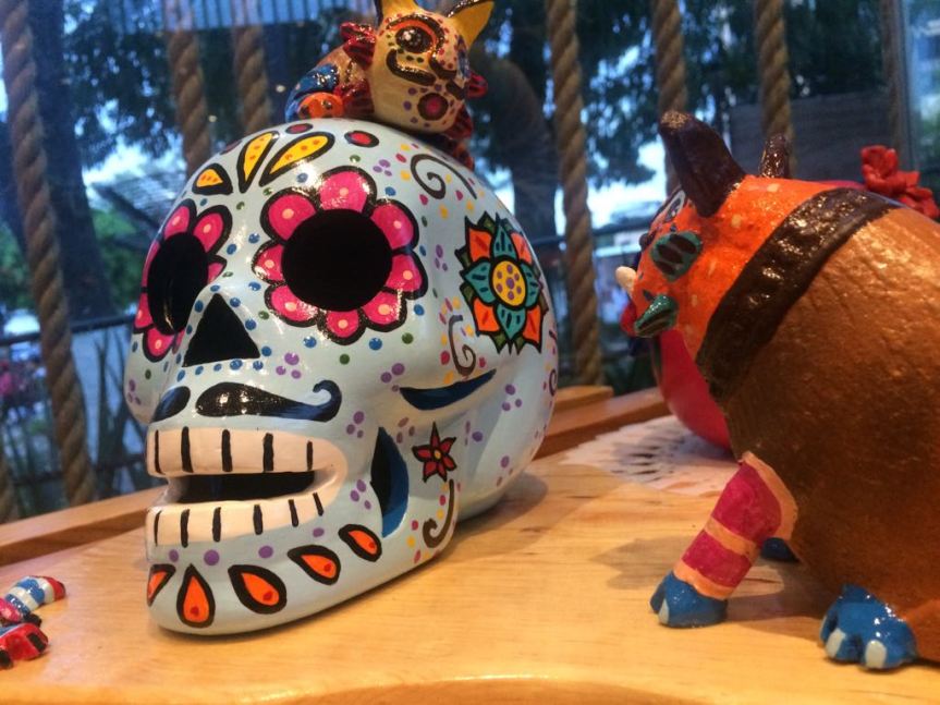 WhatsApp Image 2017-10-17 at 6.51.23 PM (1)