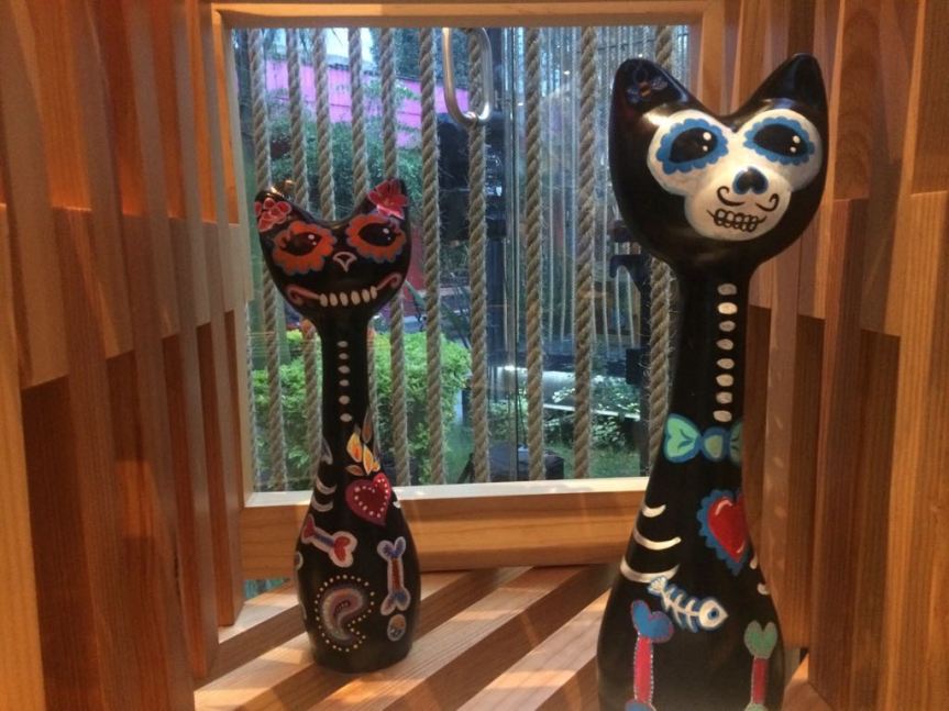 WhatsApp Image 2017-10-17 at 6.53.43 PM