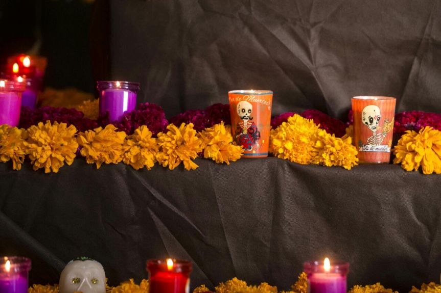 WhatsApp Image 2017-11-01 at 6.10.18 PM