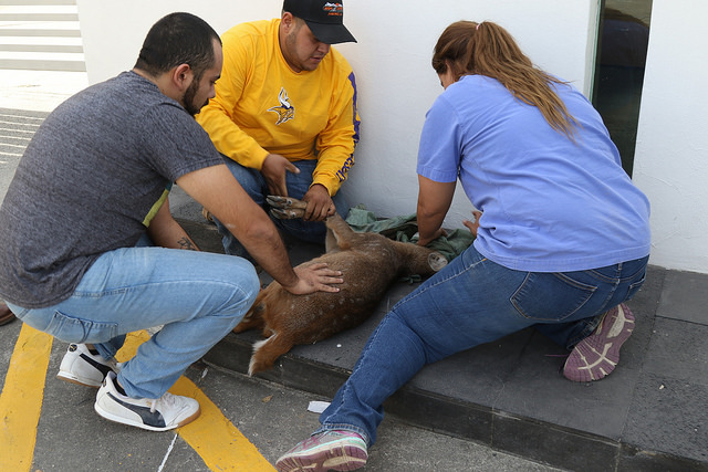 38840010651_5980c16552_z