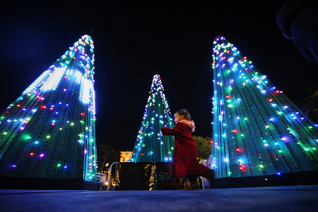 38962040222_2a0950cb85_z