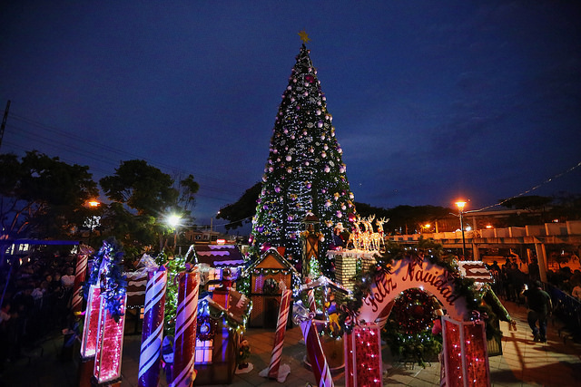 38998352031_fb67b1872c_z