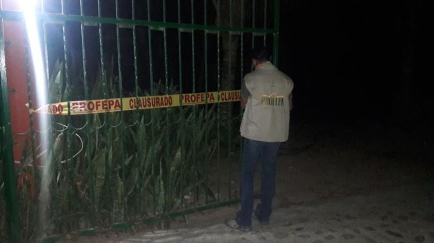 WhatsApp Image 2017-12-24 at 3.56.21 PM