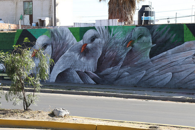 39444038454_4953b293f4_z